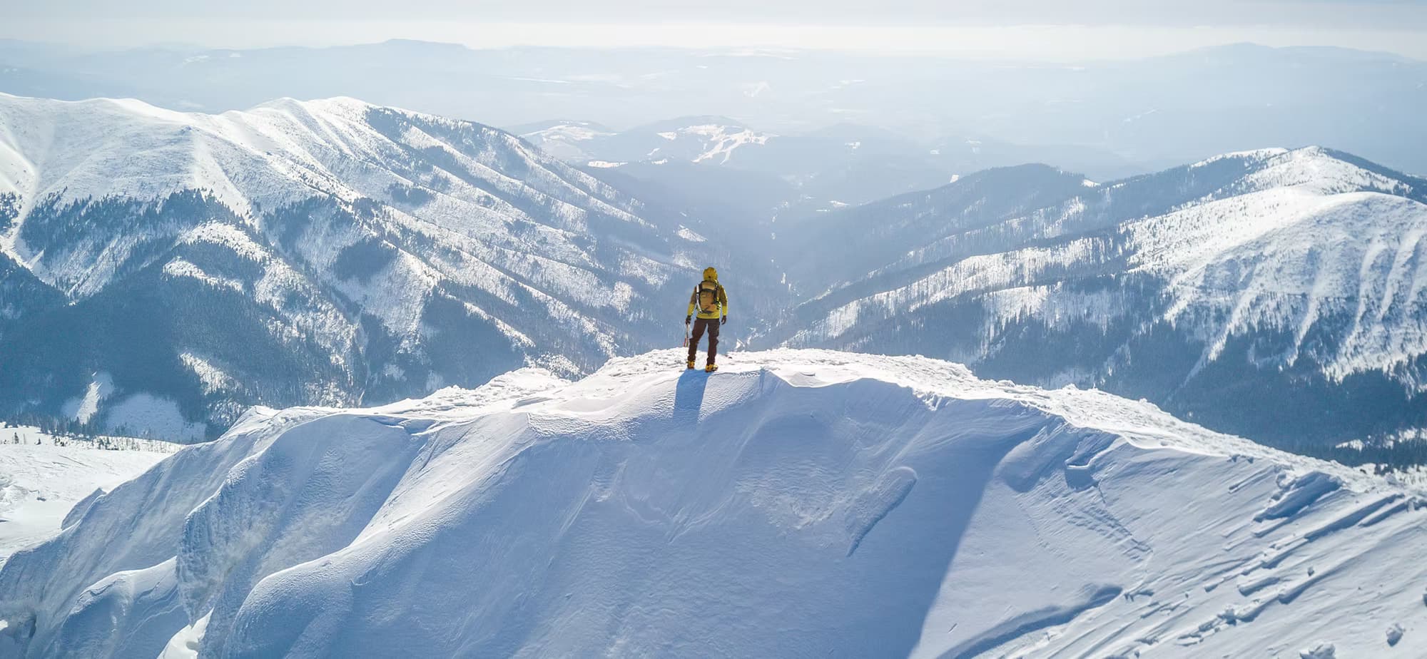 Investment Management